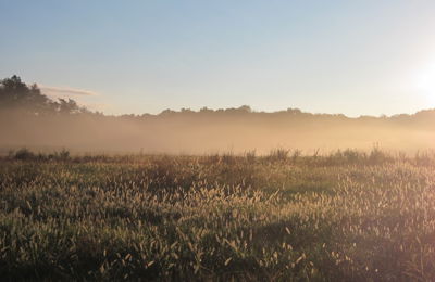 Mitigation Landowner Partnerships