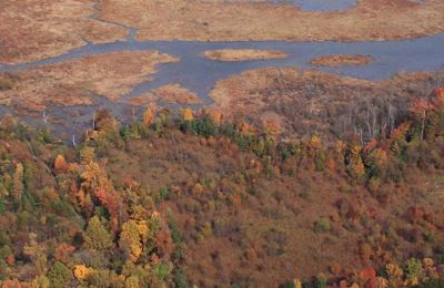 Stream And Wetland Sollog10